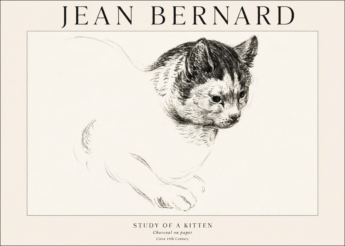 Jean Bernard Study of a Kitten I No1 - Plakat