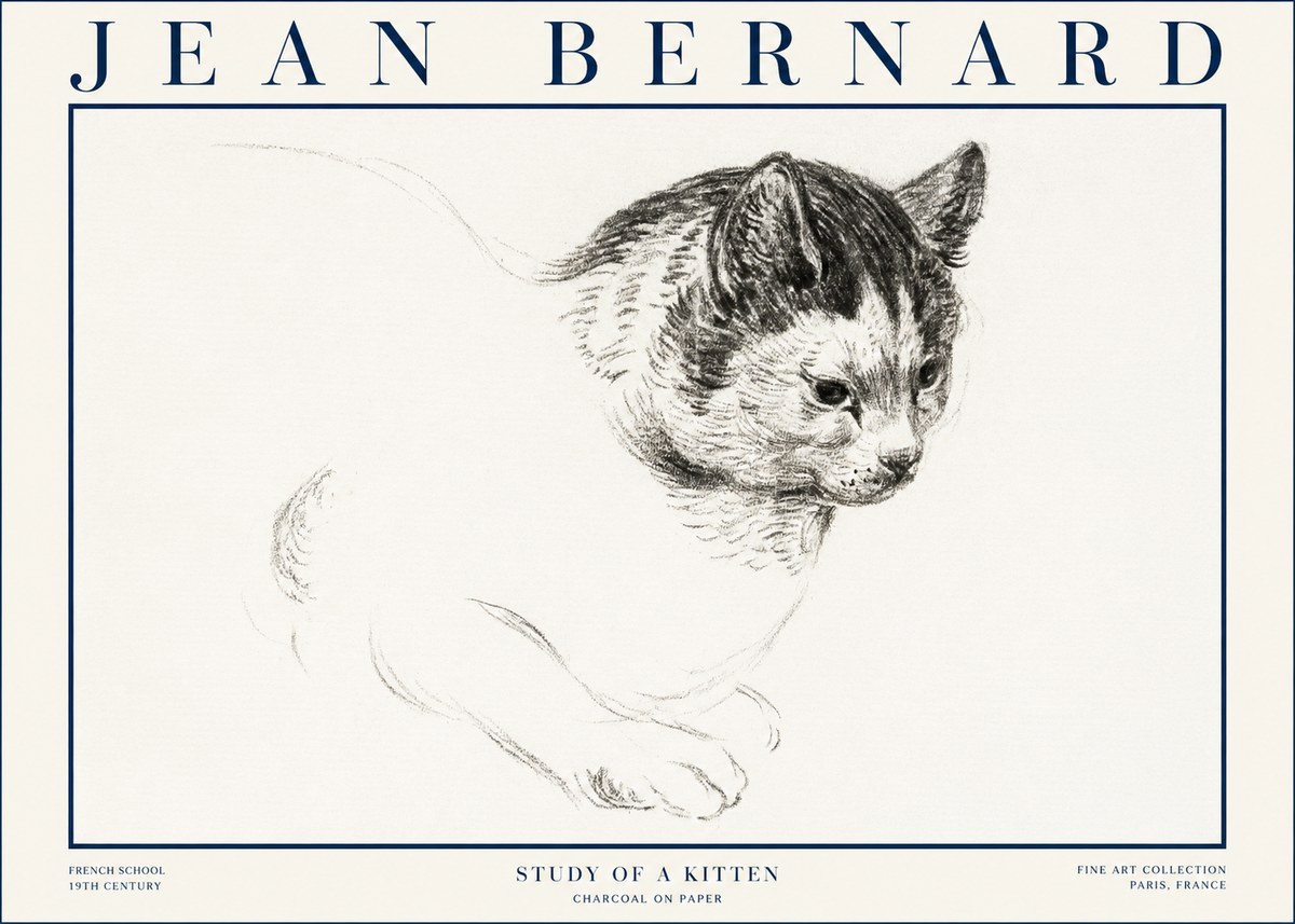Jean Bernard Study of a Kitten I No4 - Plakat