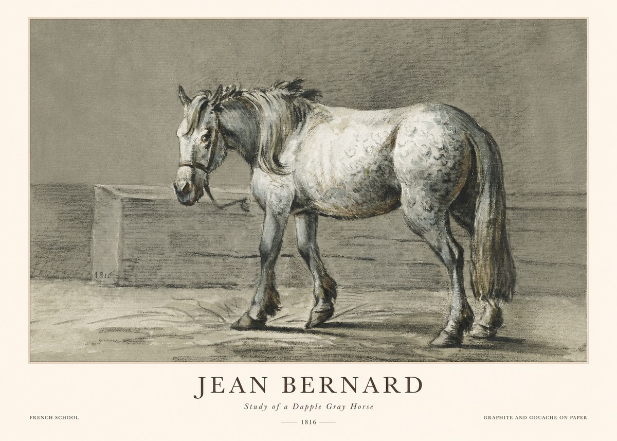 Jean Bernard Study of a Dapple Gray Horse No1 - Plakat