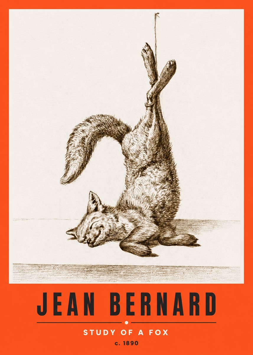 Jean Bernard Study of a Fox No2 - Plakat