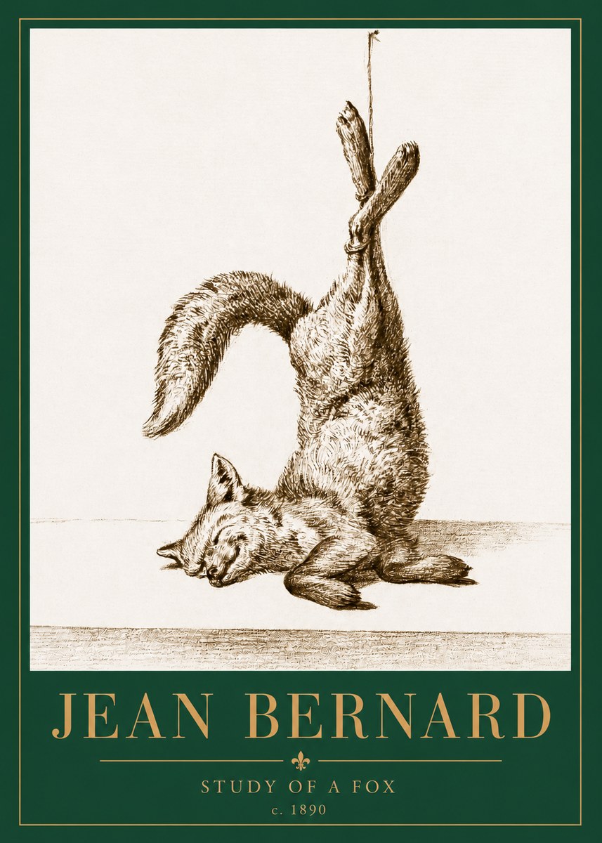 Jean Bernard Study of a Fox No3 - Plakat