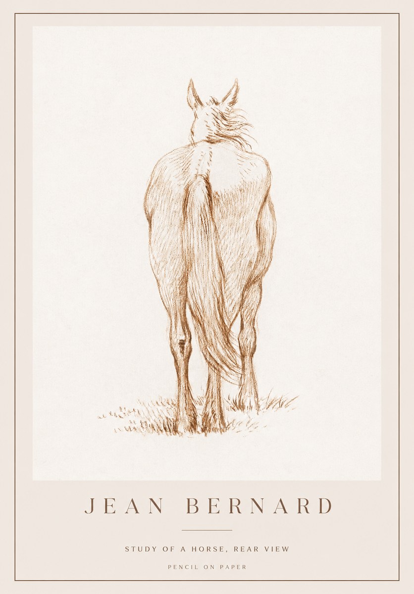 Jean Bernard Study of a Horse, Rear View No1 - Plakat