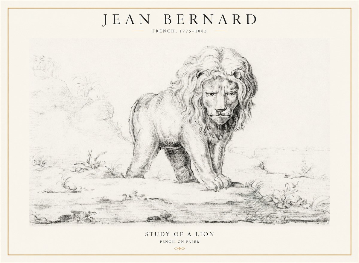 Jean Bernard Study of a Lion I No4 - Plakat