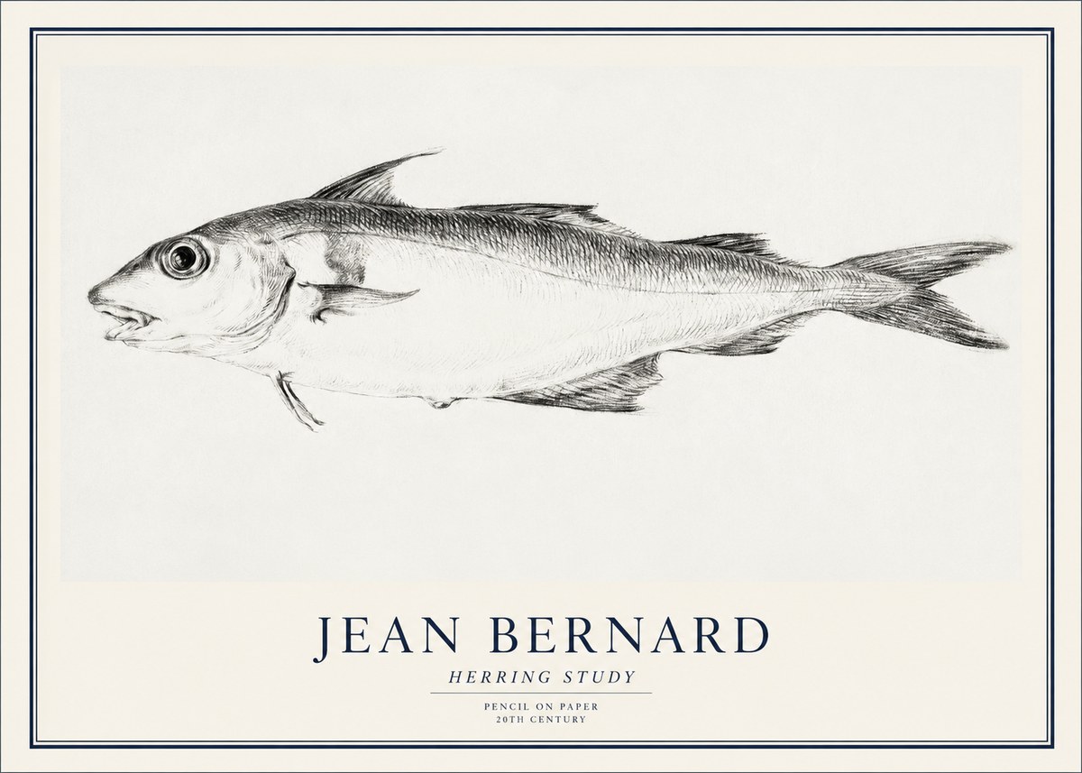Jean Bernard Herring Study No1 - Plakat