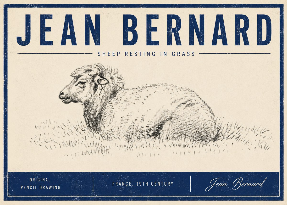 Jean Bernard Sheep Resting in Grass No5 - Plakat