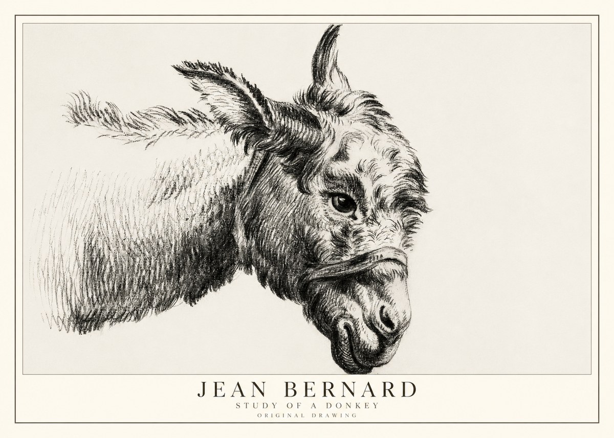 Jean Bernard Study of a Donkey I No1 - Plakat