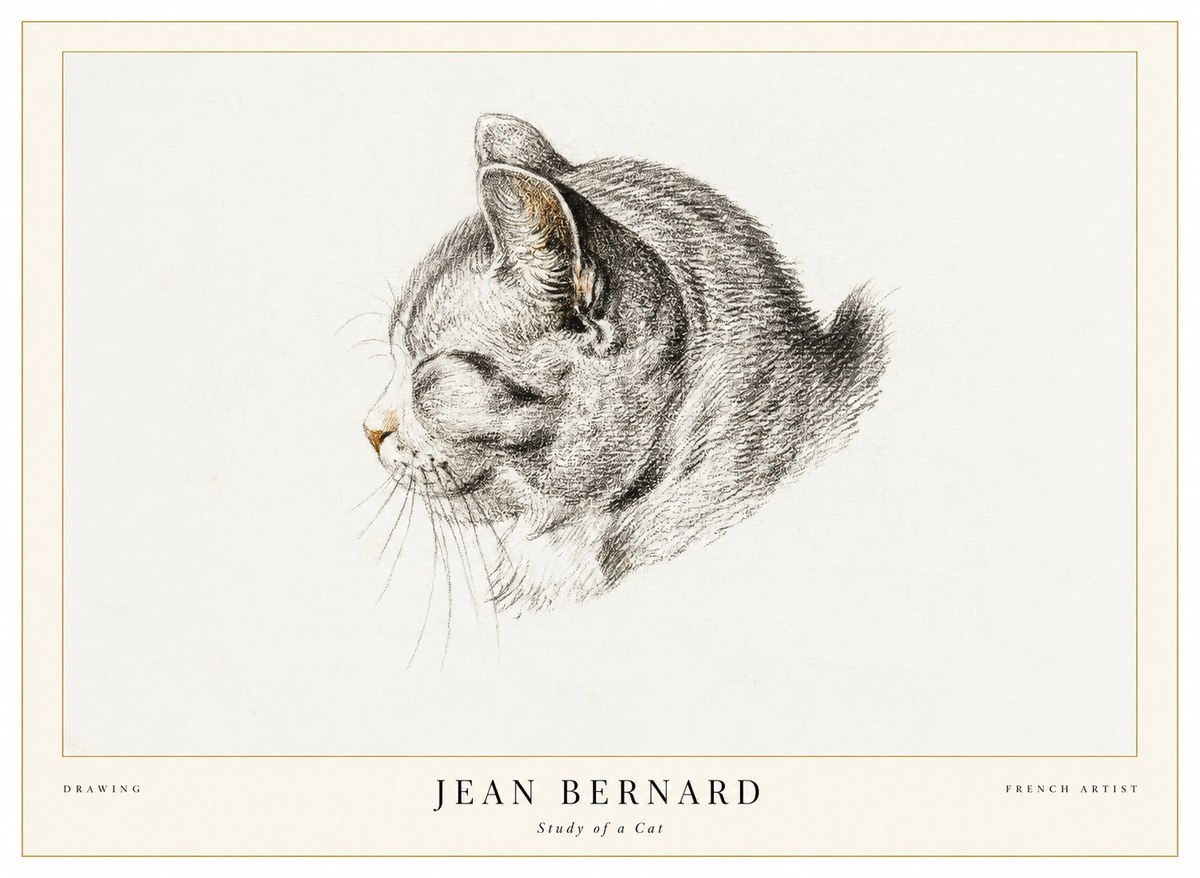 Jean Bernard Study of a Cat I No1 - Plakat