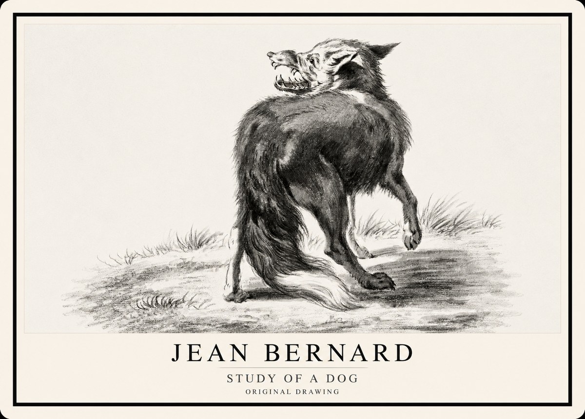 Jean Bernard Study of a Dog II No1 - Plakat