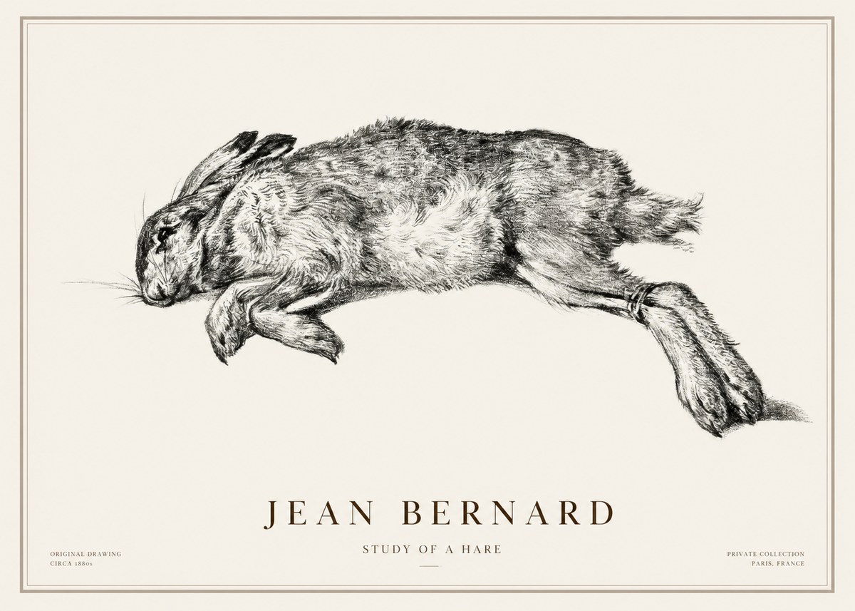 Jean Bernard Study of a Rabbit No3 - Plakat