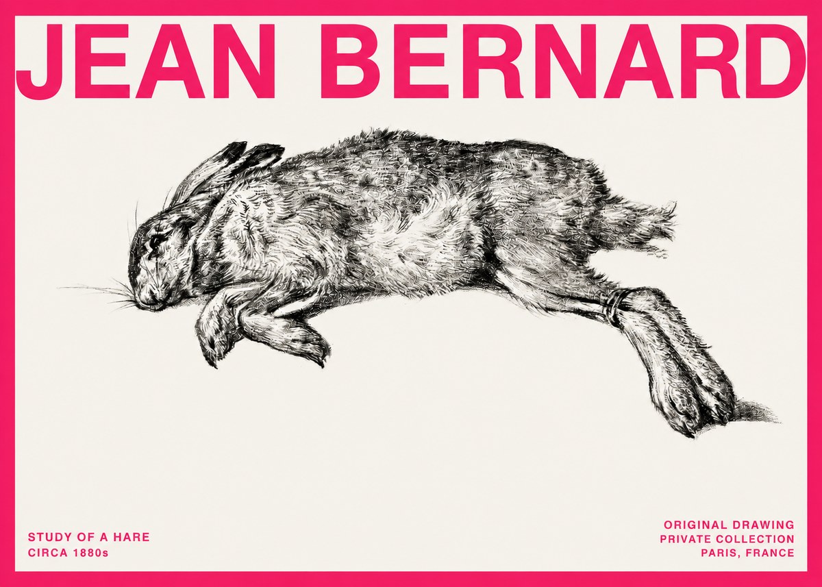 Jean Bernard Study of a Rabbit No4 - Plakat