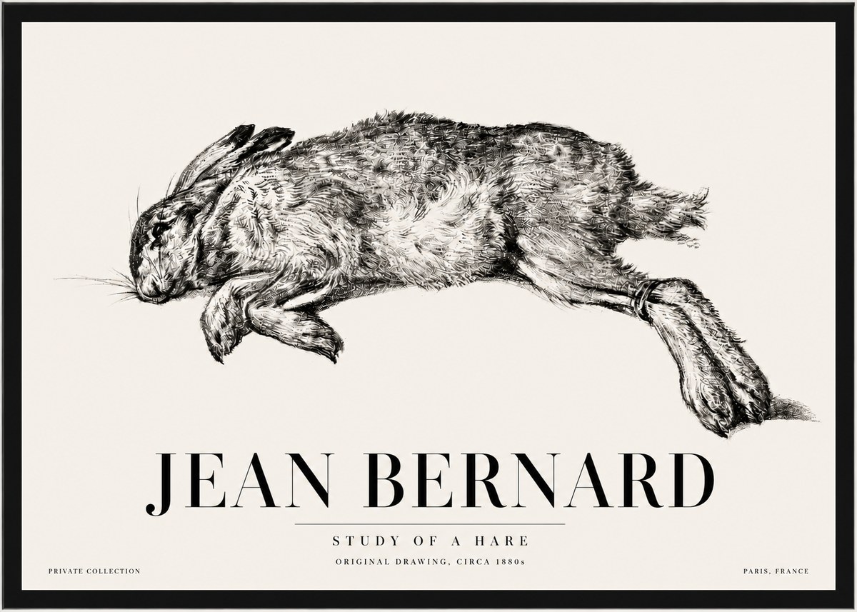 Jean Bernard Study of a Rabbit No5 - Plakat