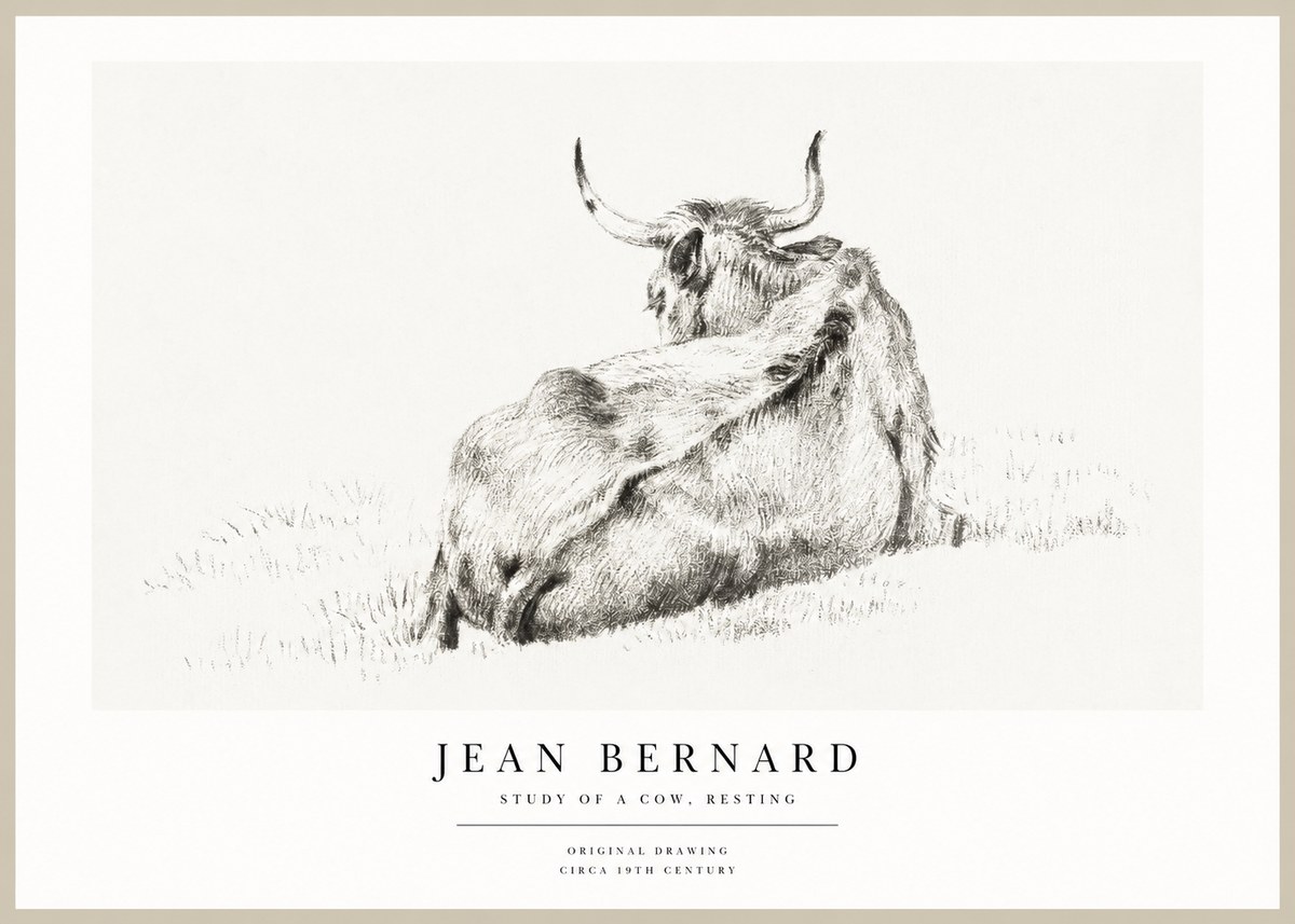 Jean Bernard Resting Bovine - Study in Graphite No2 - Plakat
