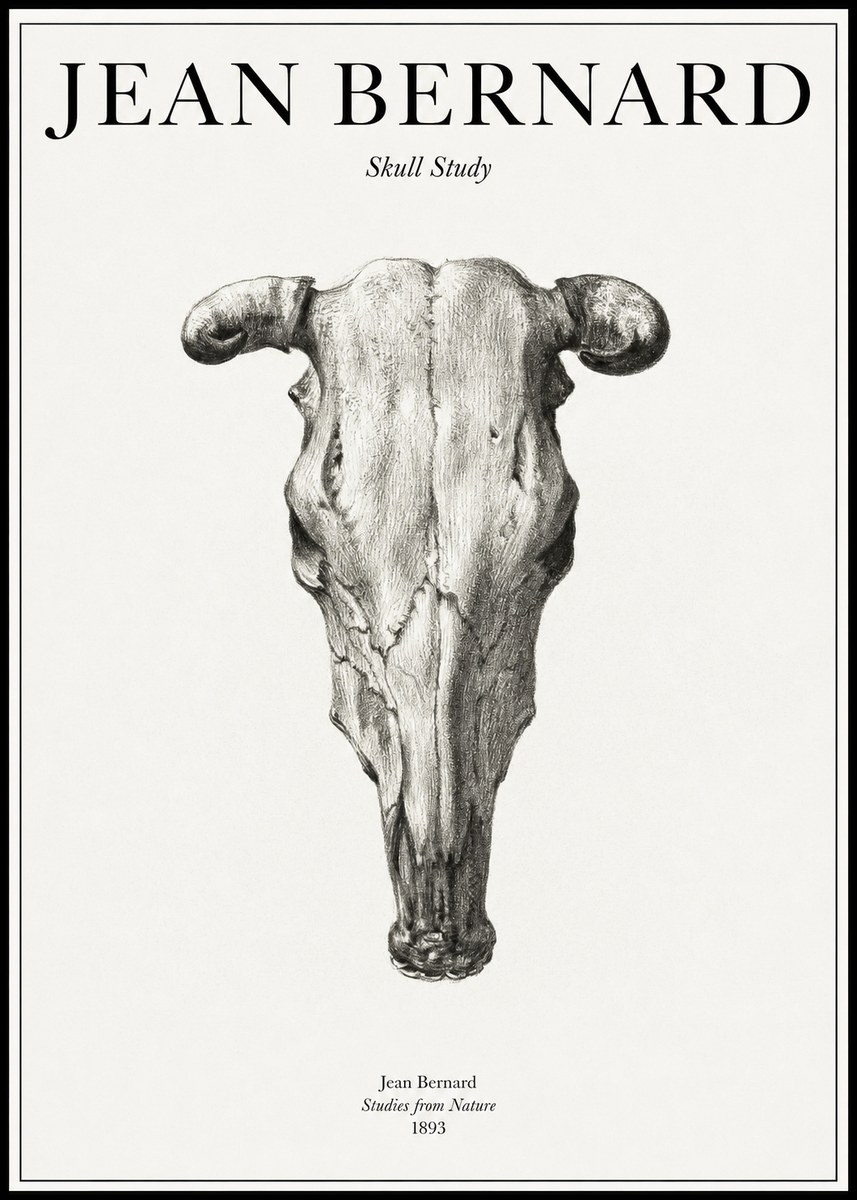 Jean Bernard Skull Study No1 - Plakat