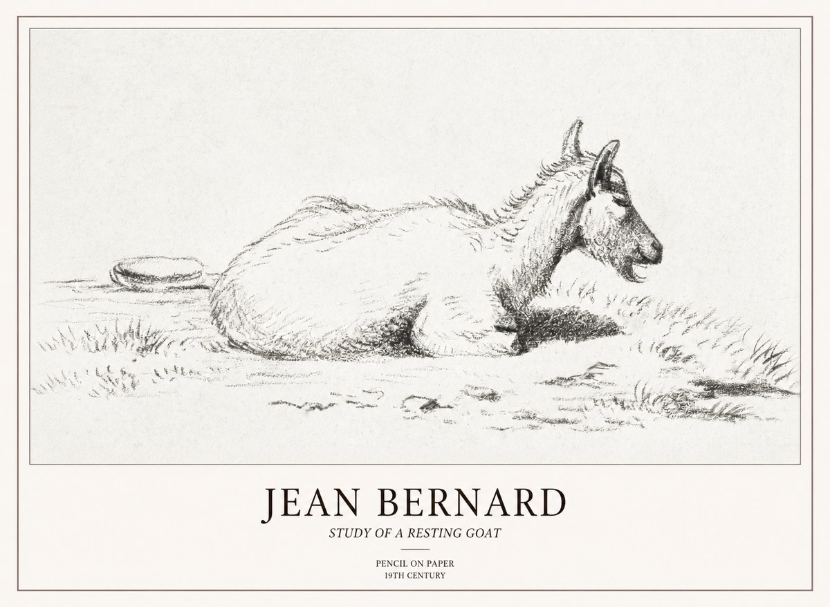 Jean Bernard Study of a Resting Goat No2 - Plakat