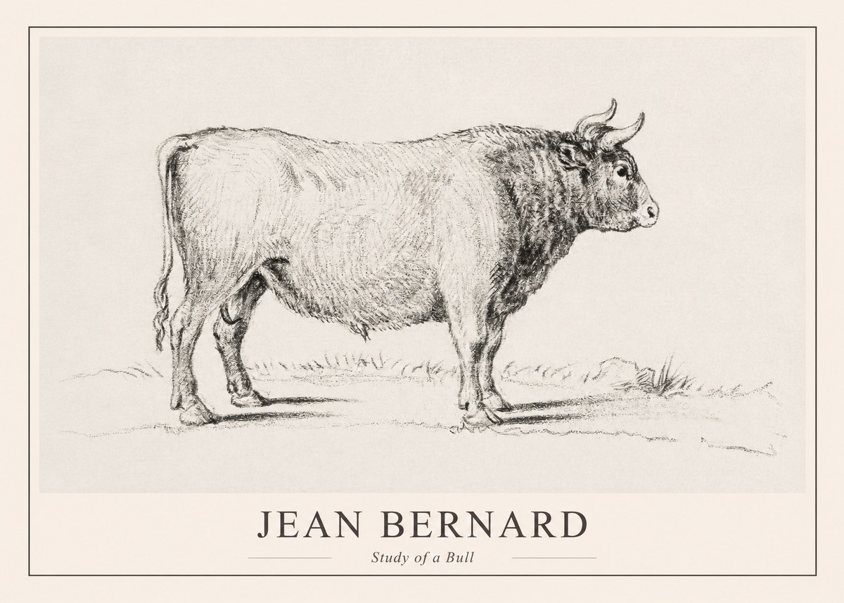 Jean Bernard Study of a Bull I No1 - Plakat