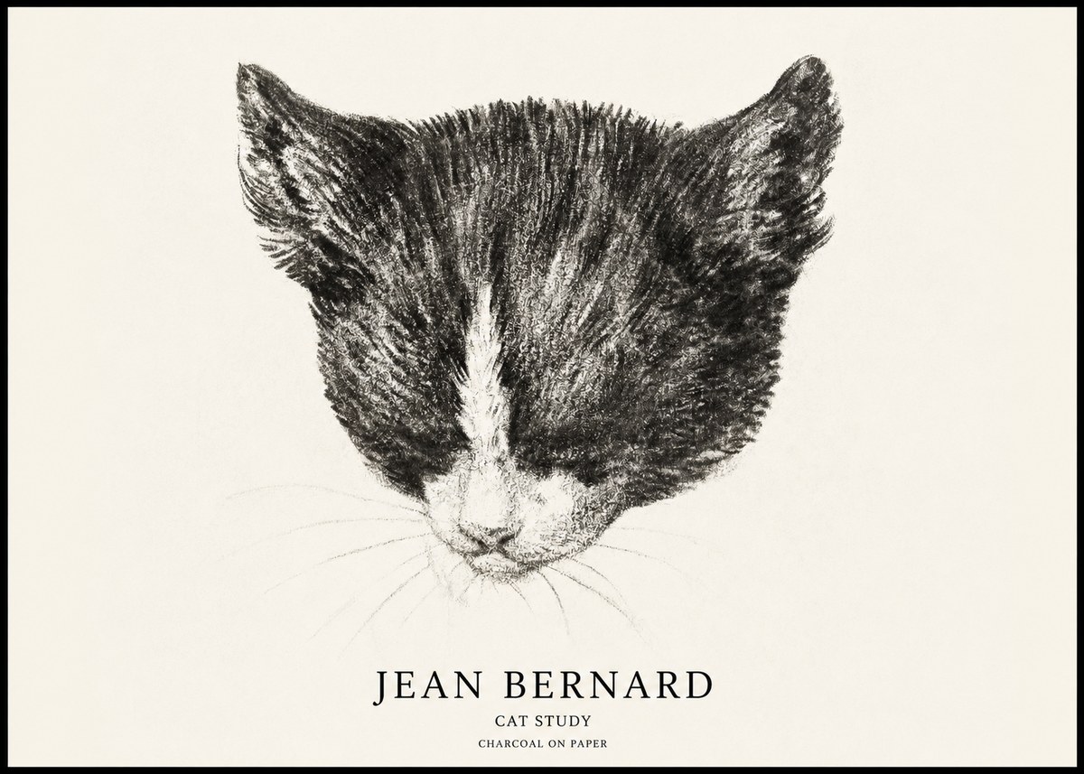 Jean Bernard Cat Study V No1 - Plakat