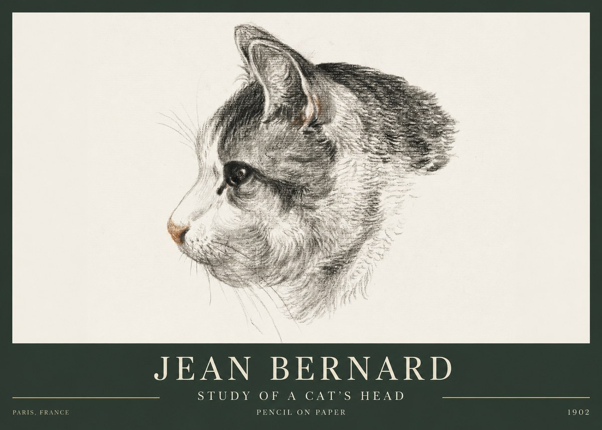 Jean Bernard Cat Study, Profile No4 - Plakat