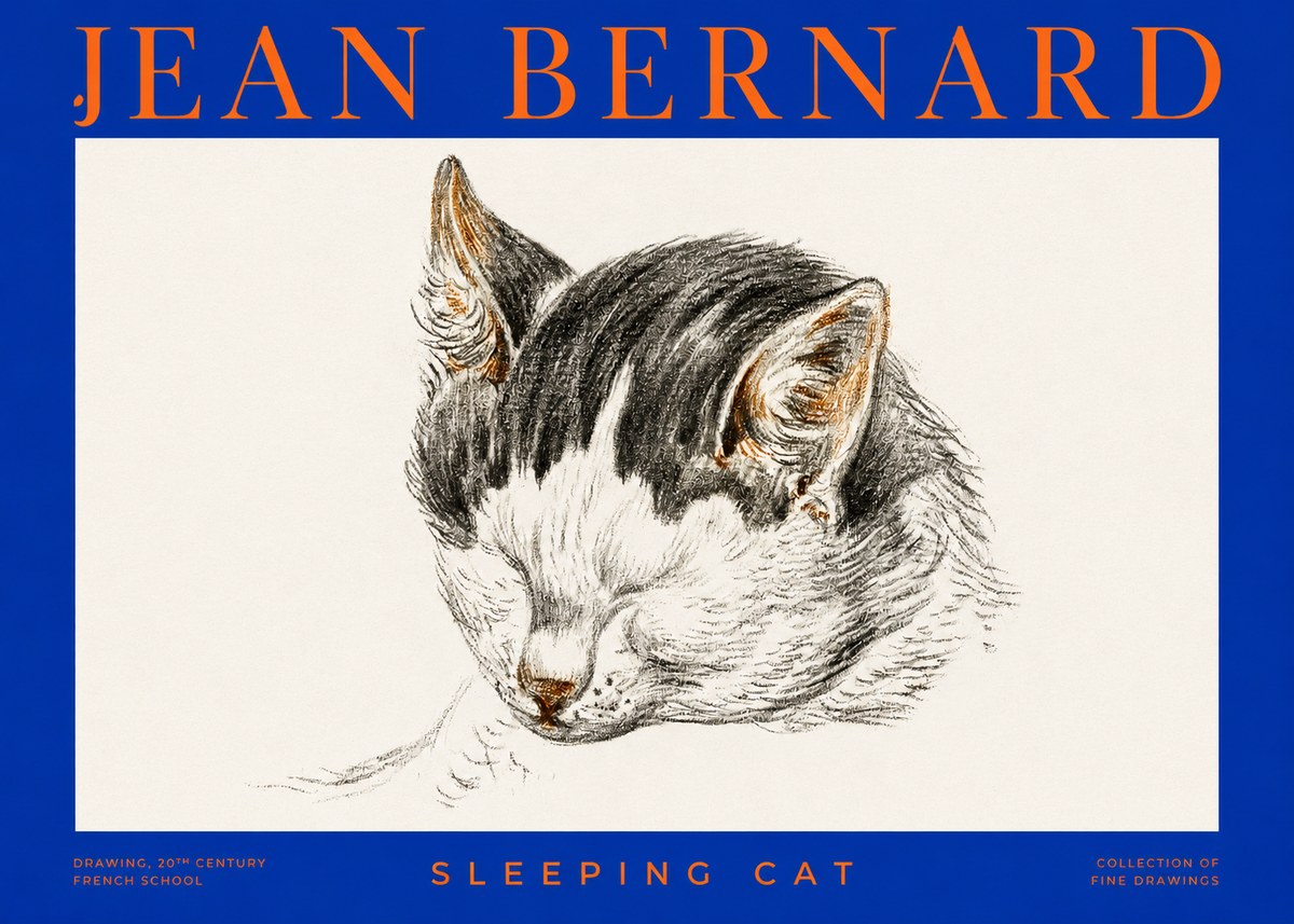 Jean Bernard Sleeping Cat V No2 - Plakat