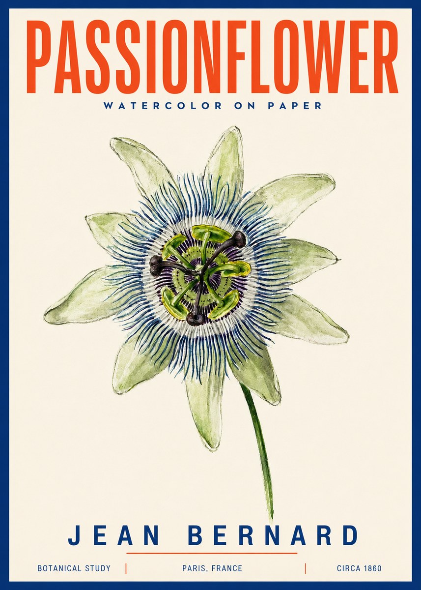 Jean Bernard Passionflower No4 - Plakat