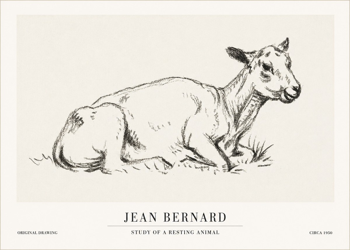 Jean Bernard Study of a Resting Animal No1 - Plakat
