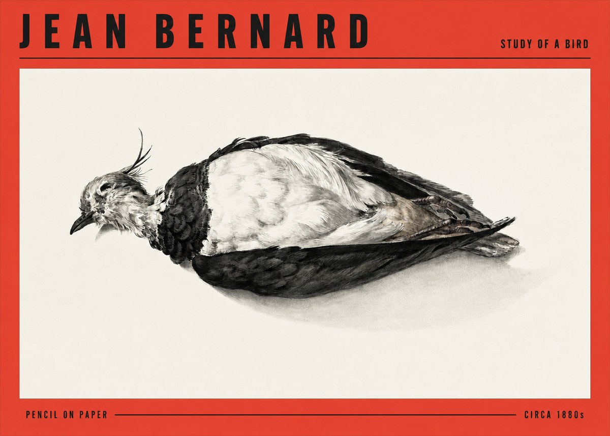 Jean Bernard Study of a Bird II No3 - Plakat