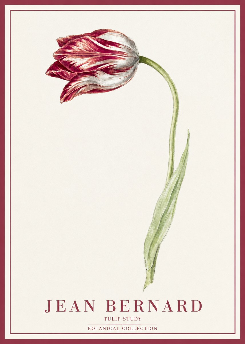 Jean Bernard Tulip Study No1 - Plakat