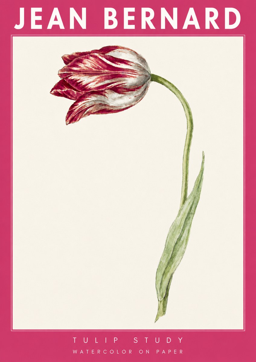 Jean Bernard Tulip Study No4 - Plakat