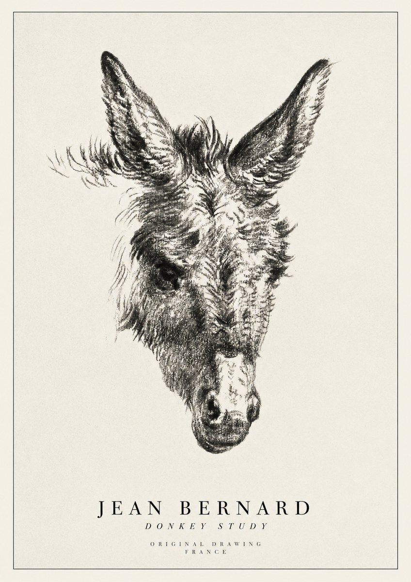 Jean Bernard Donkey Study IV No1 - Plakat
