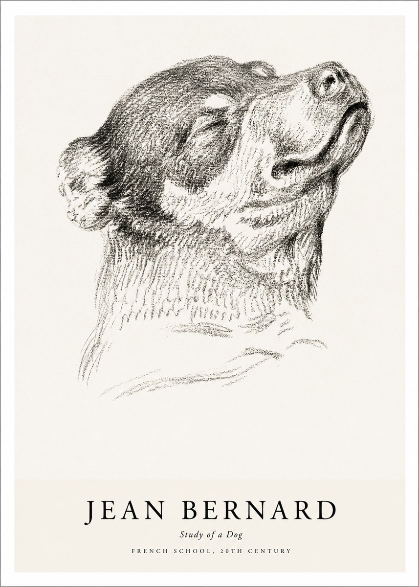 Jean Bernard Study of a Dog III No1 - Plakat