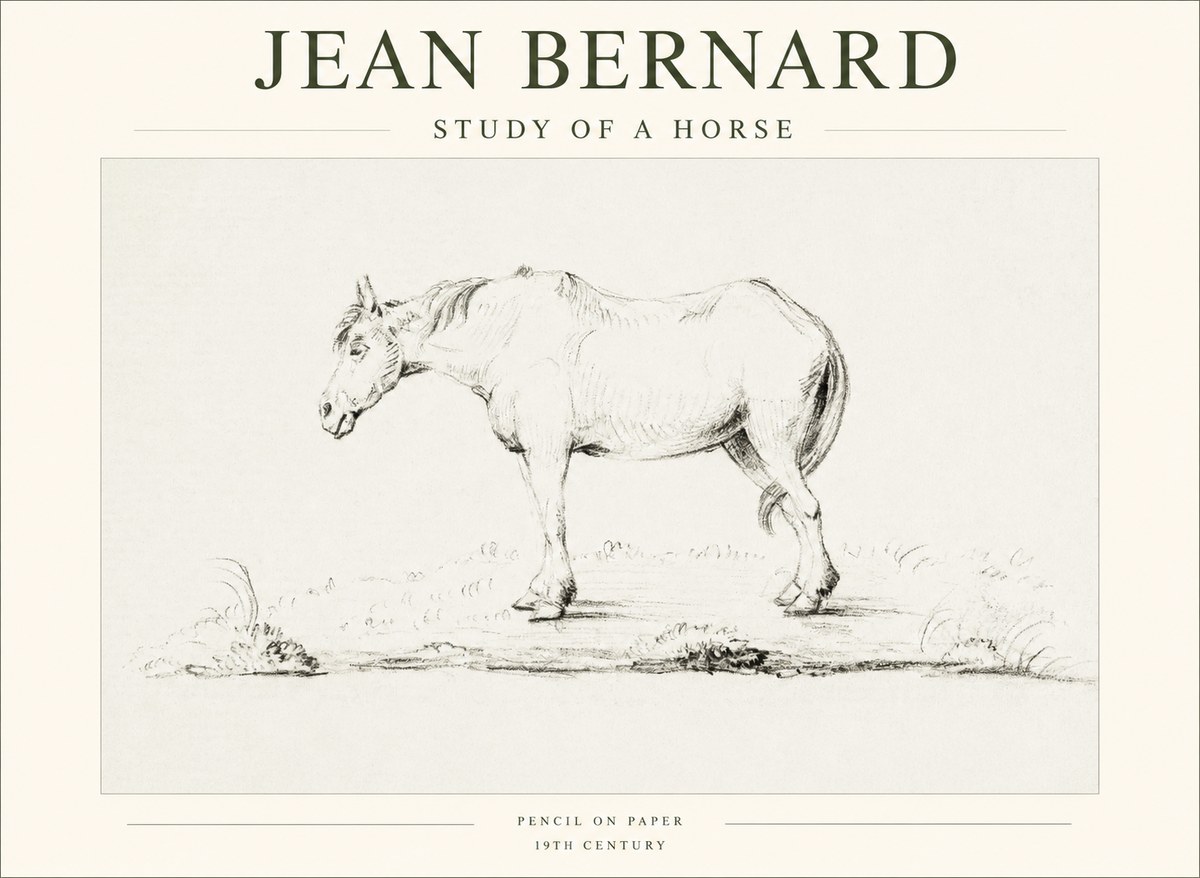 Jean Bernard Study of a Horse IX No1 - Plakat