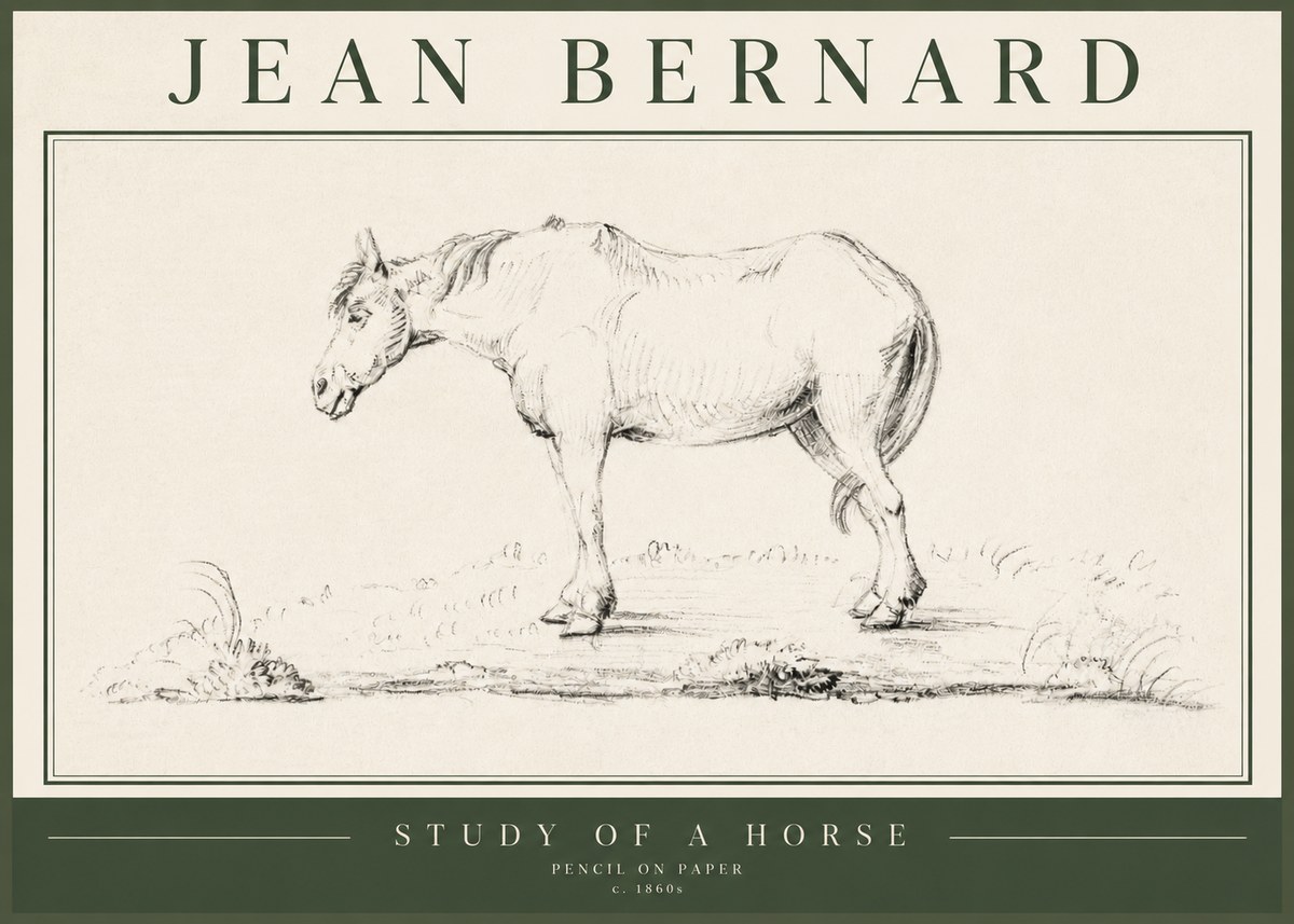 Jean Bernard Study of a Horse IX No5 - Plakat