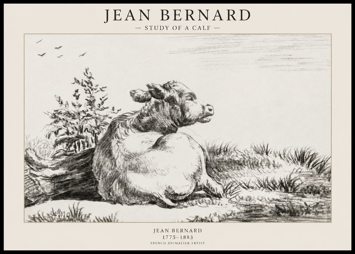 Jean Bernard Study of a Calf III No1 - Plakat