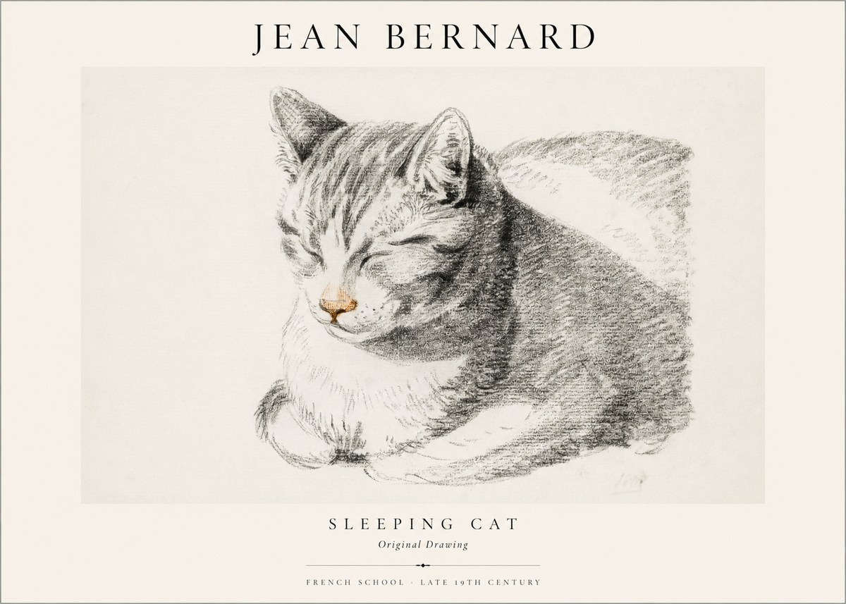 Jean Bernard Sleeping Cat VI No1 - Plakat