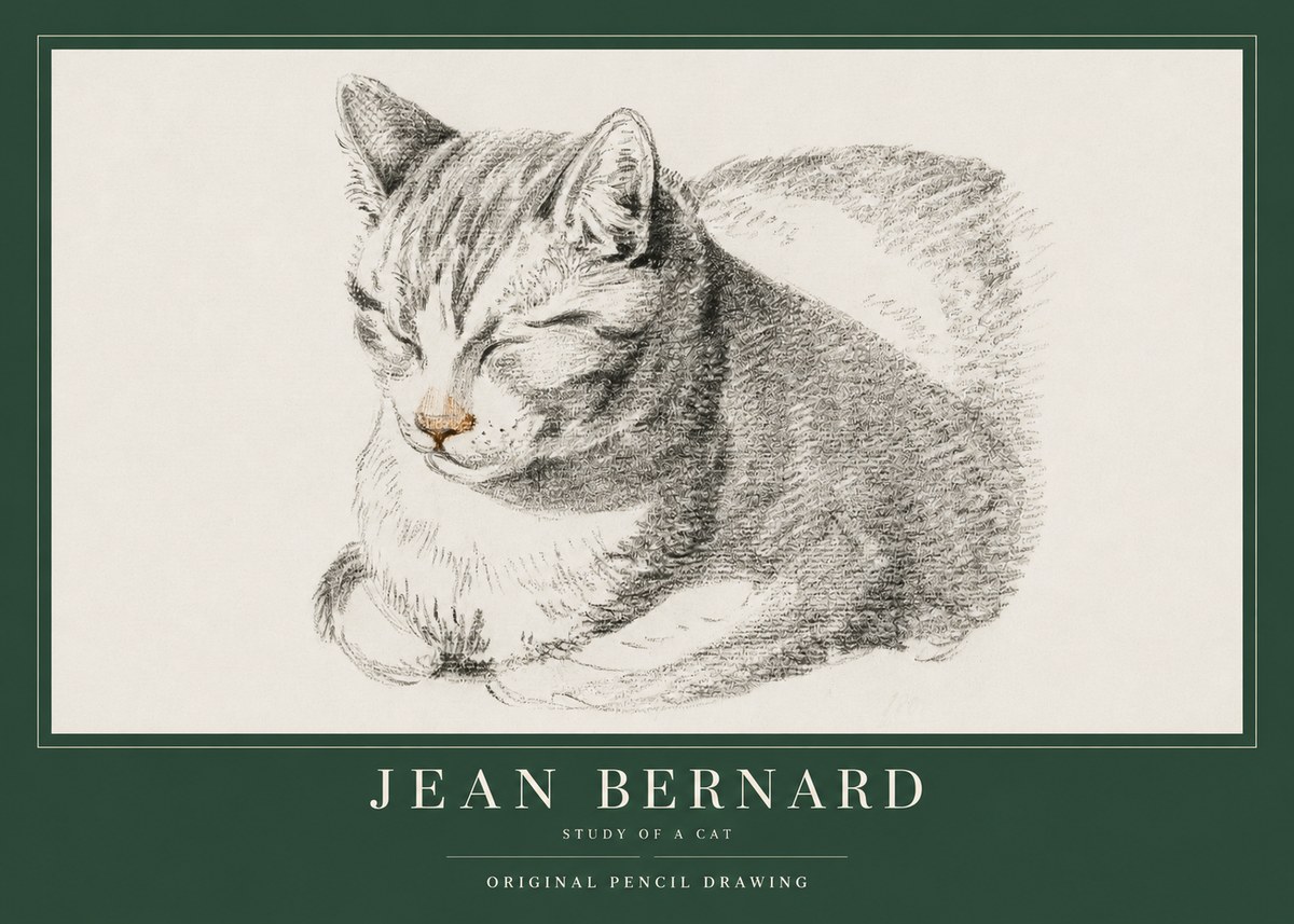Jean Bernard Sleeping Cat VI No4 - Plakat