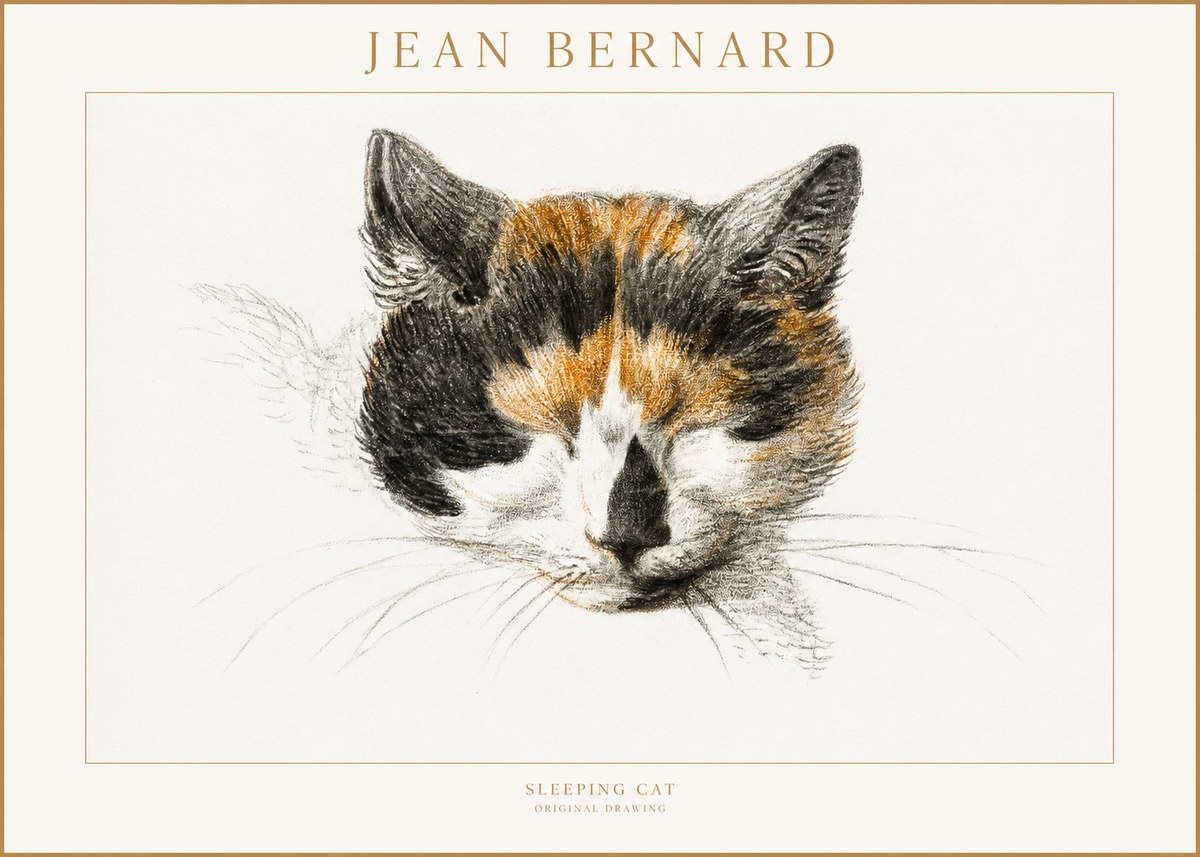 Jean Bernard Cat Study VIII No4 - Plakat