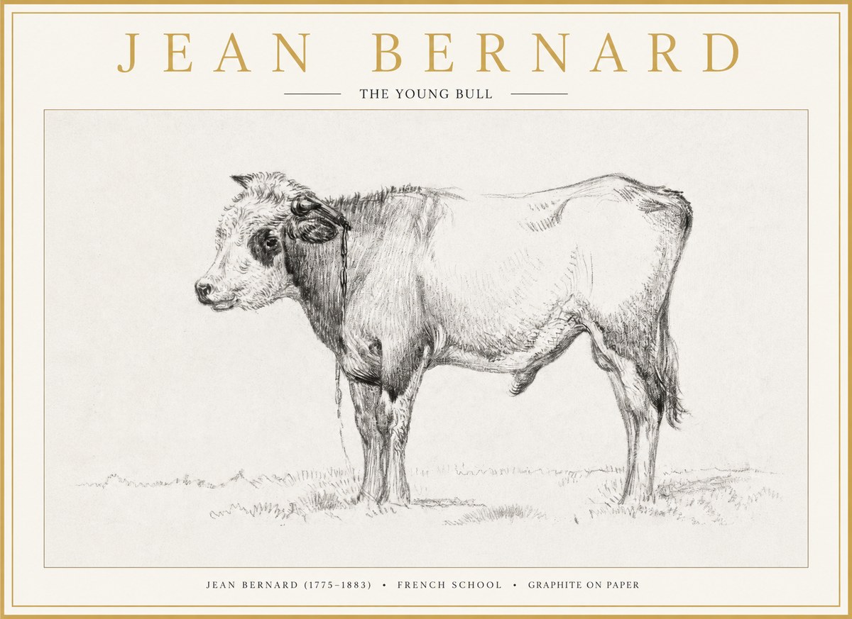 Jean Bernard The Young Bull No1 - Plakat