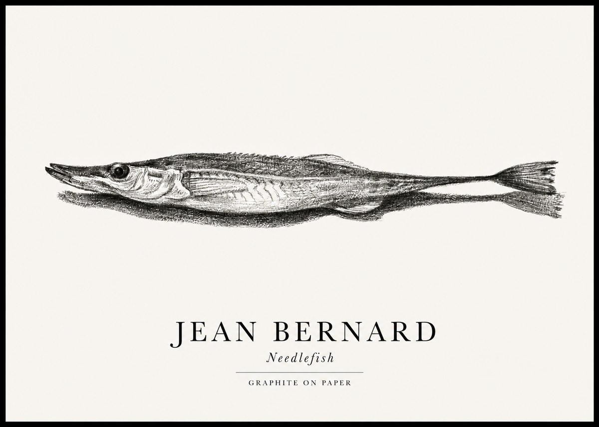 Jean Bernard Needlefish No1 - Plakat