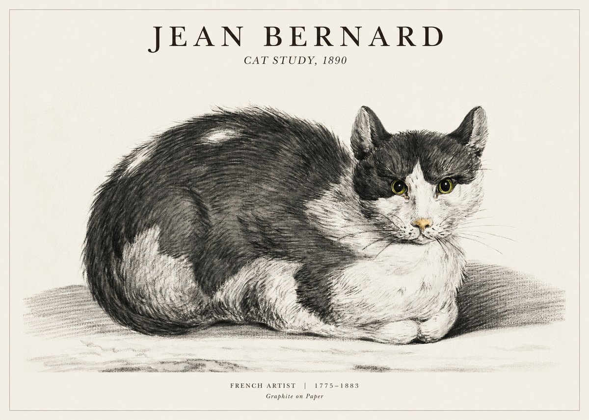 Jean Bernard Cat Resting No3 - Plakat