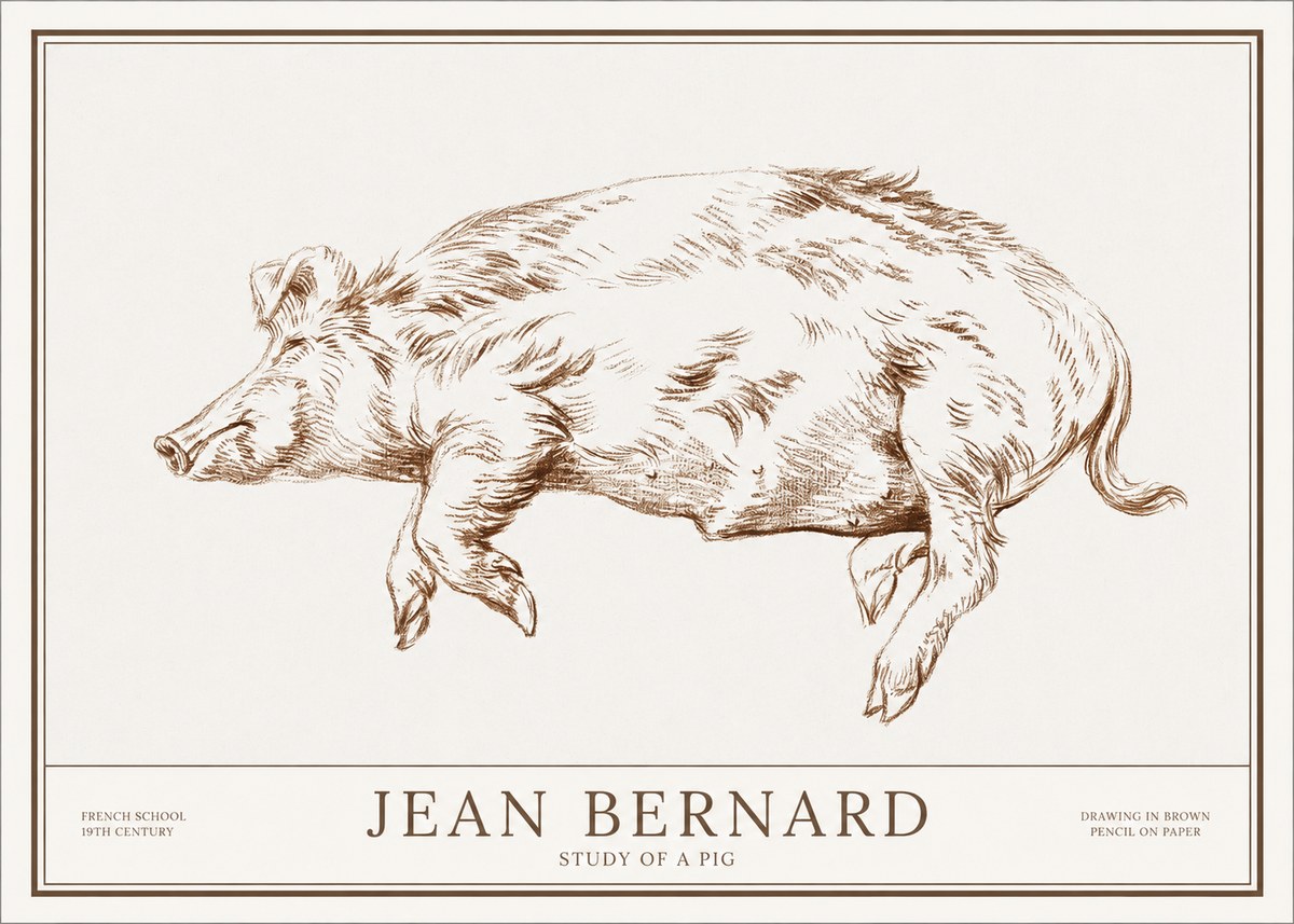 Jean Bernard Study of a Pig II No1 - Plakat