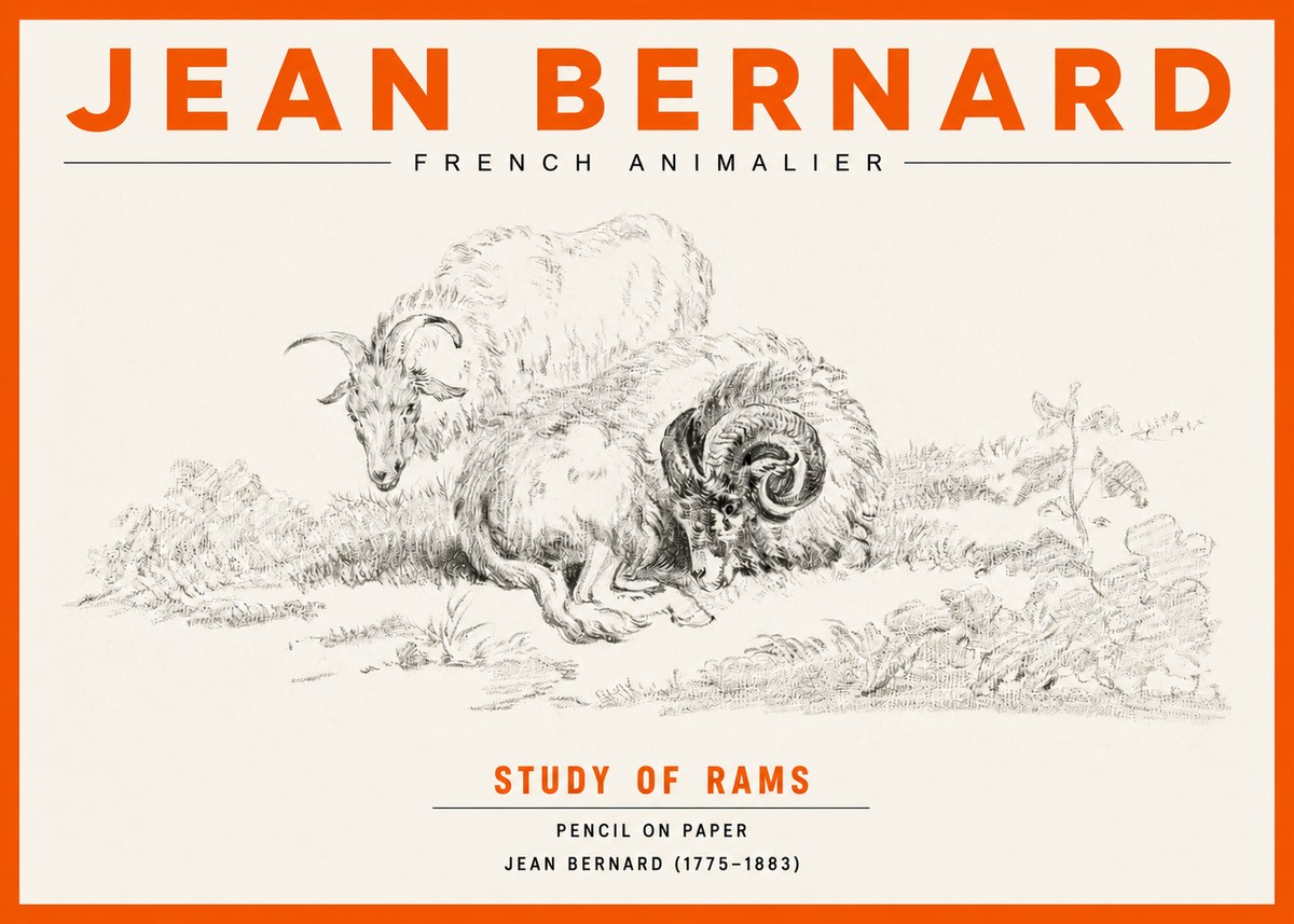 Jean Bernard Study of Sheep No3 - Plakat