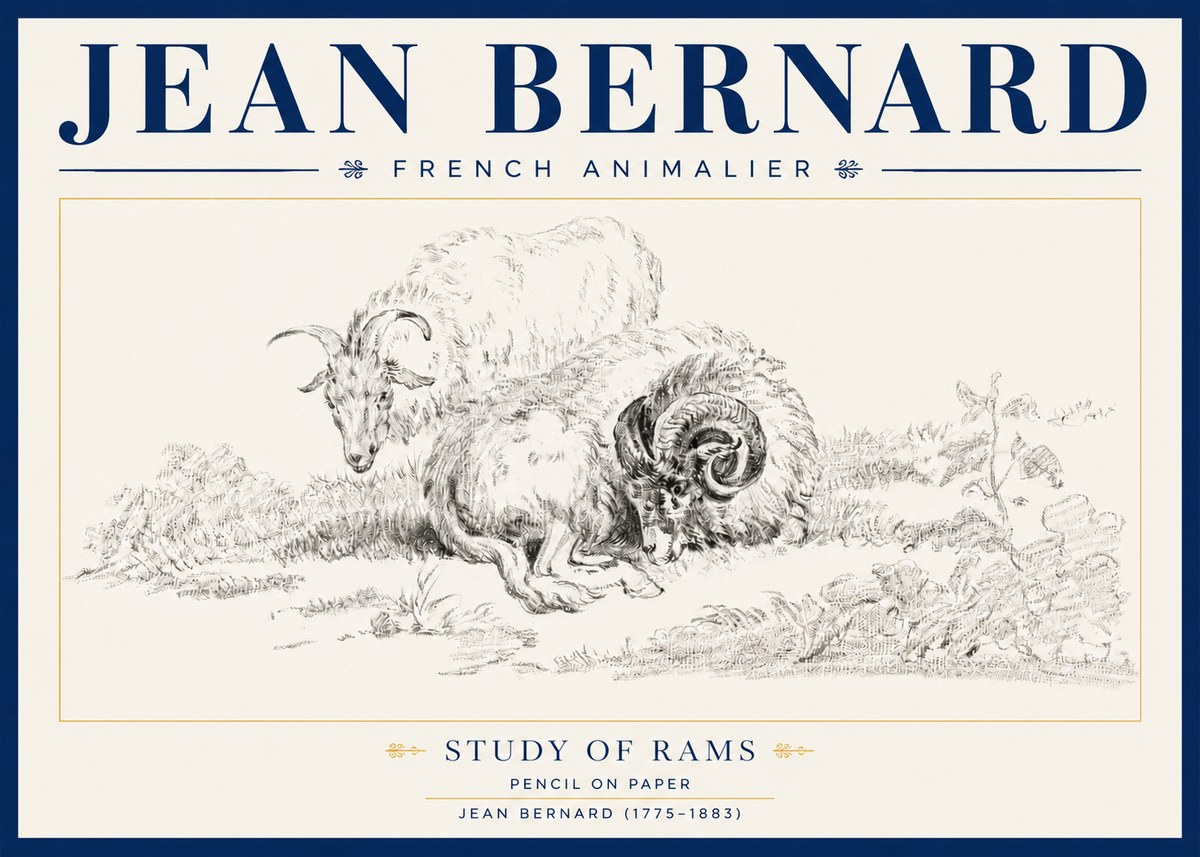 Jean Bernard Study of Sheep No4 - Plakat