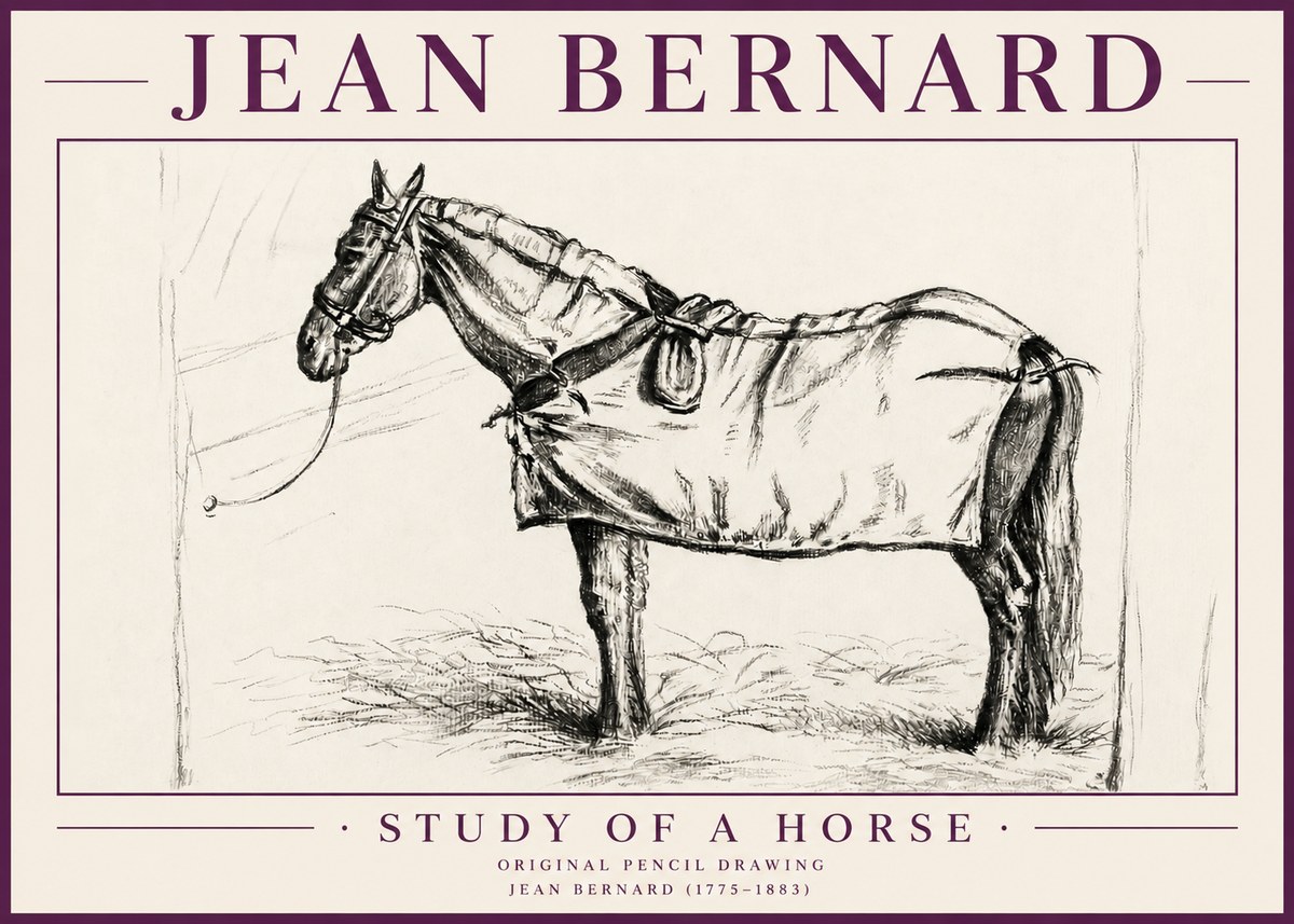 Jean Bernard Study of a Horse XI No4 - Plakat
