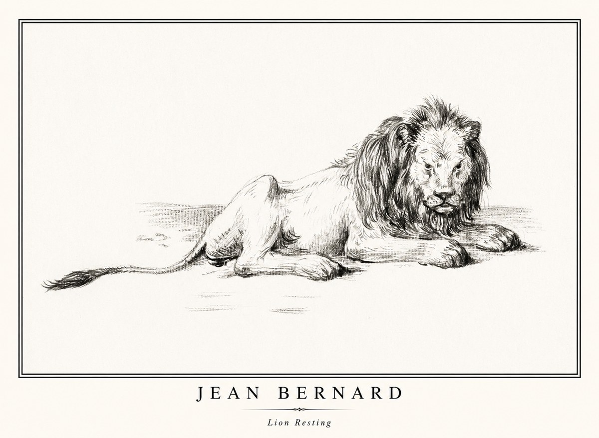 Jean Bernard Lion Resting No1 - Plakat