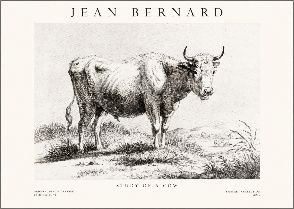Jean Bernard Study of a Cow XVI No1 - Plakat