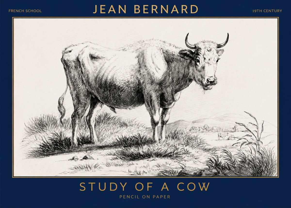 Jean Bernard Study of a Cow XVI No3 - Plakat