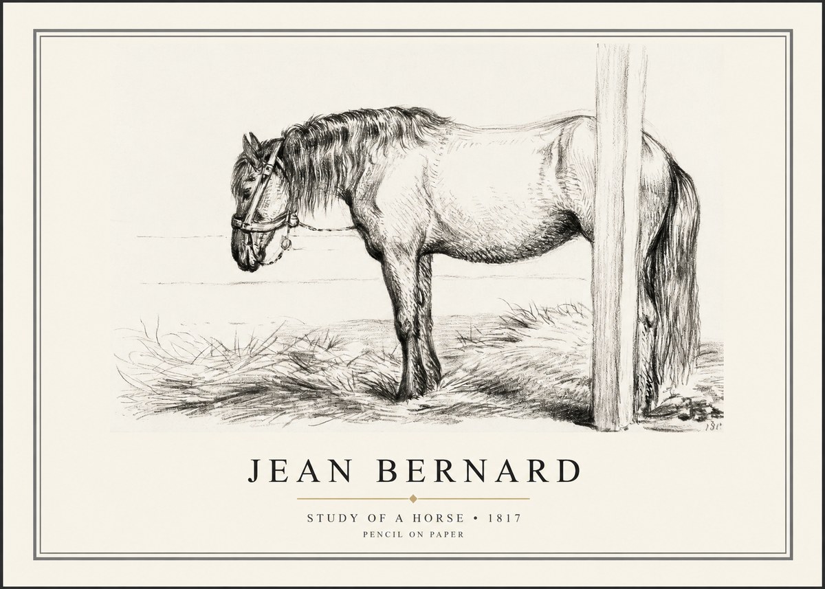 Jean Bernard Study of a Horse XII No1 - Plakat