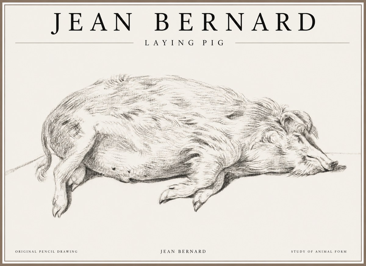 Jean Bernard Laying Pig No1 - Plakat