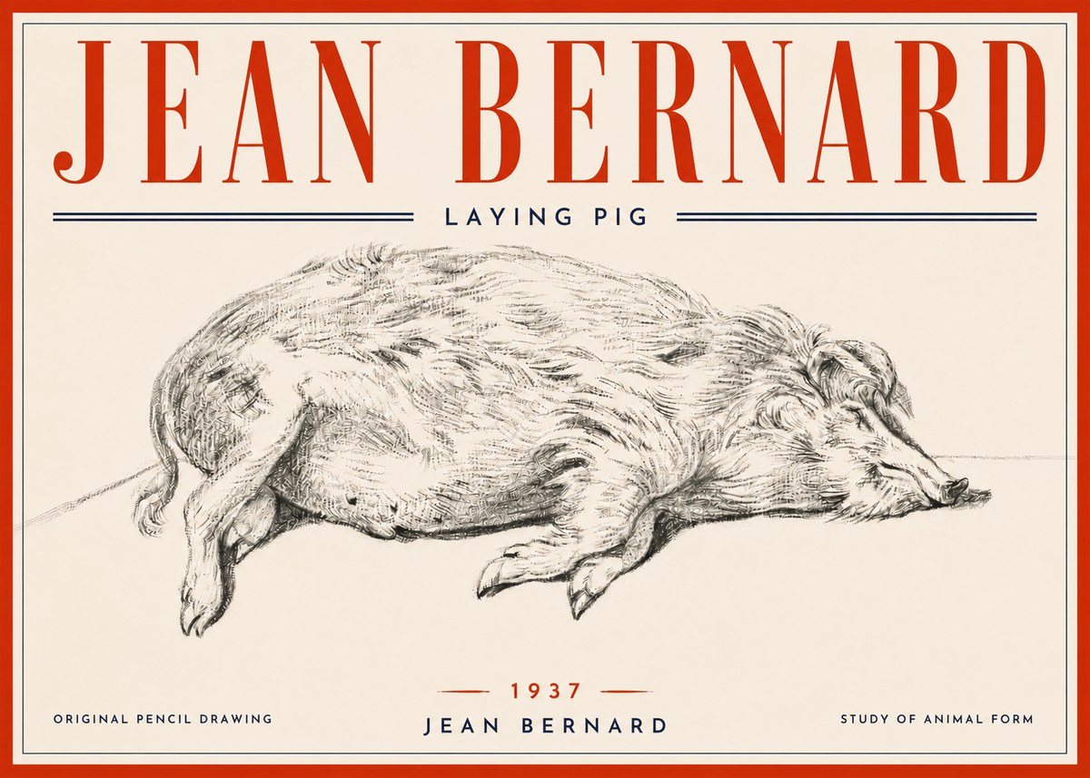 Jean Bernard Laying Pig No6 - Plakat