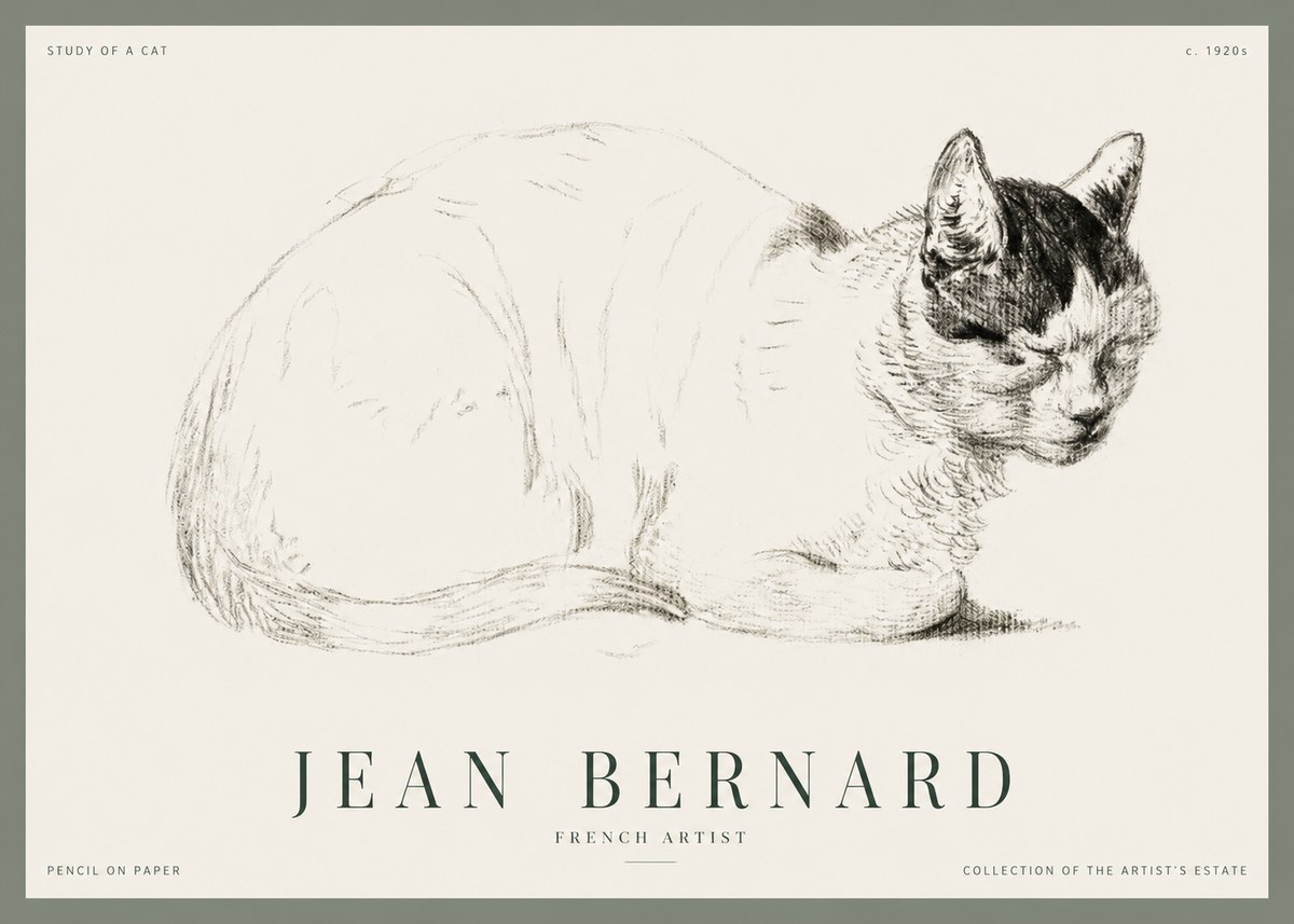 Jean Bernard Study of a Cat III No1 - Plakat