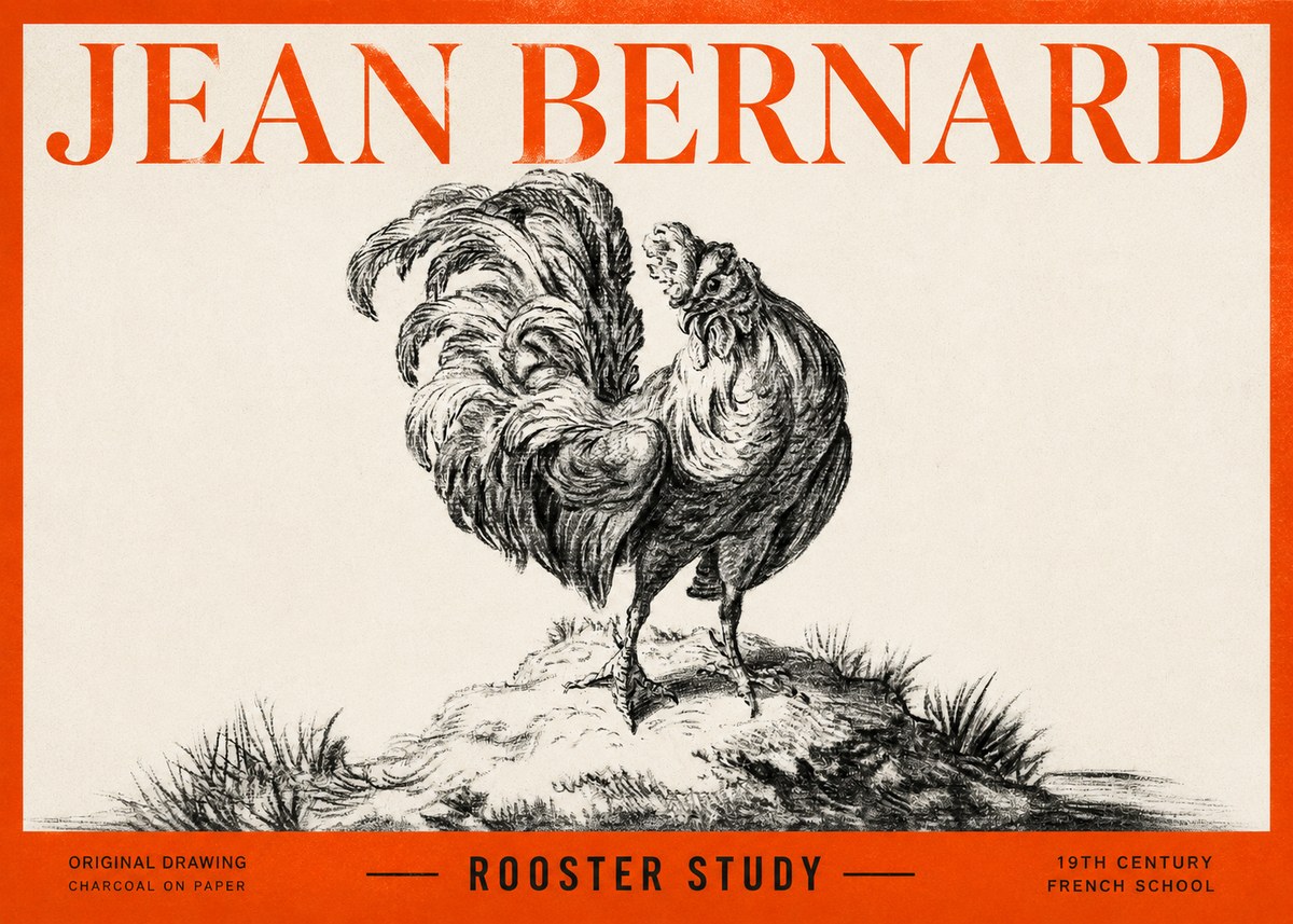 Jean Bernard Study of a Rooster No3 - Plakat